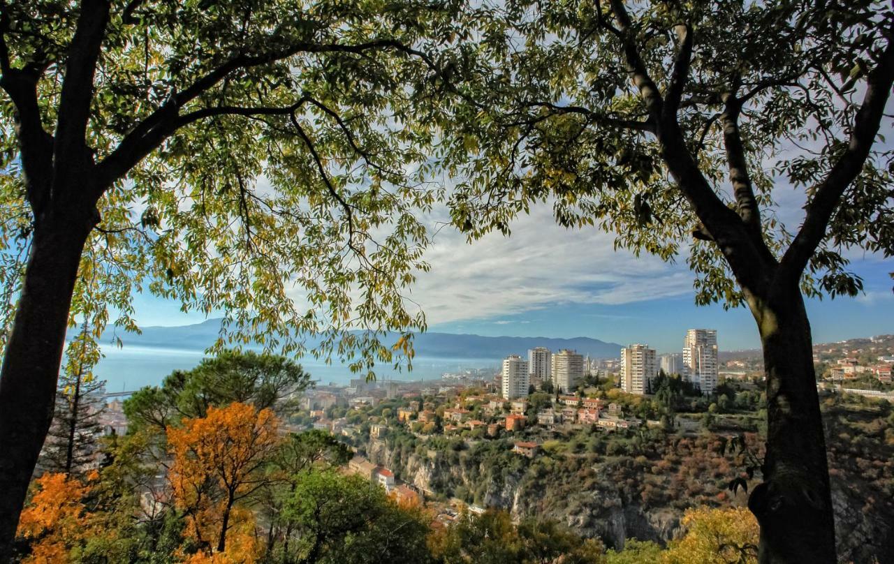 Kuca Za Odmor Villa Curlylocs - Vila Kosjenka Viskovo Εξωτερικό φωτογραφία